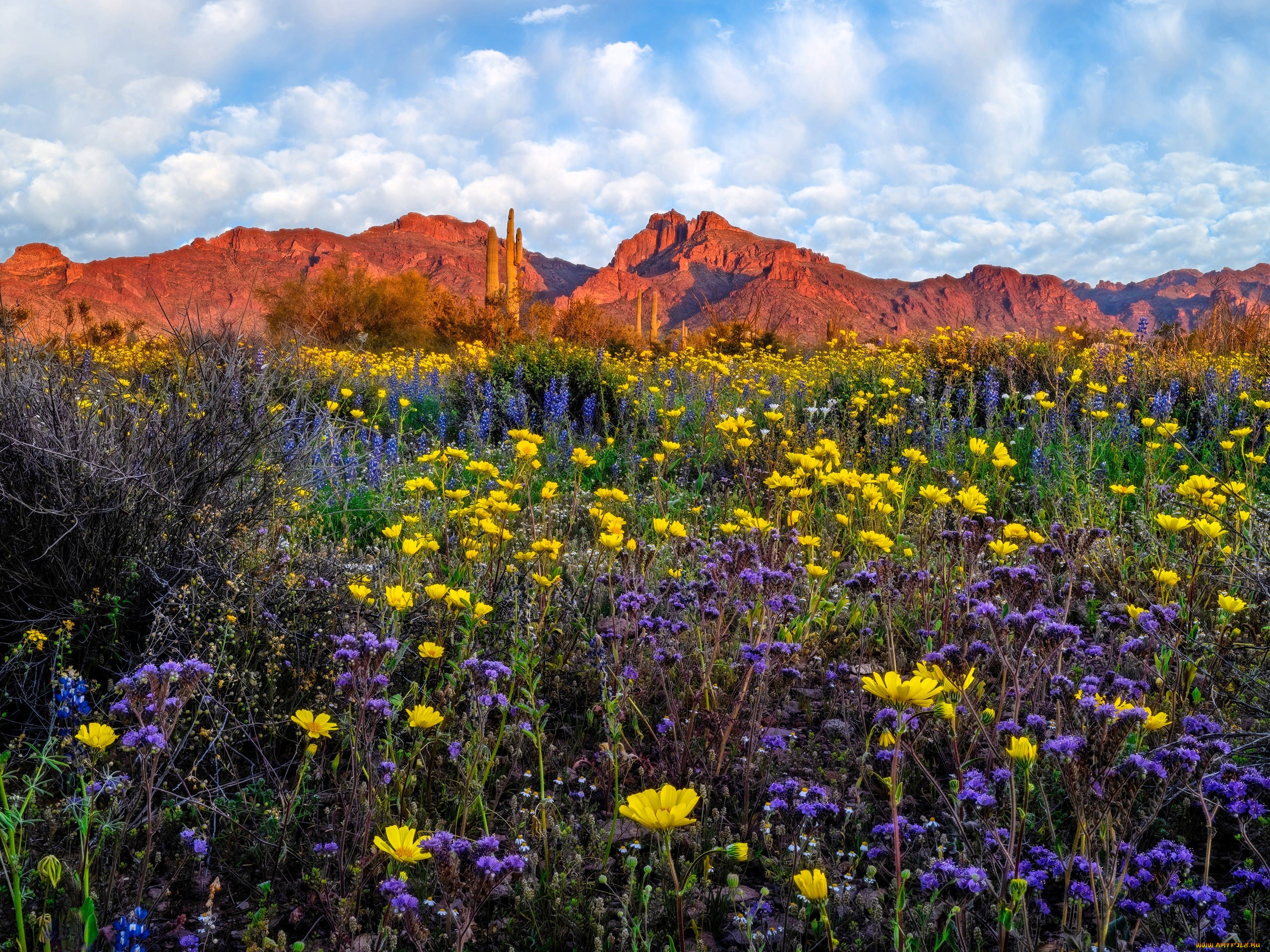 �������, ����, ����, ������, �������, ���, �����